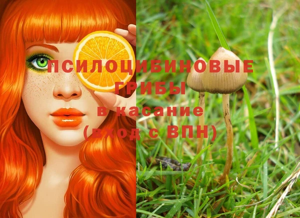 spice Тихвин