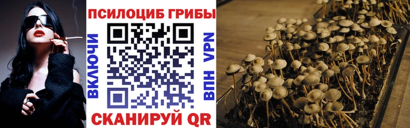 Псилоцибиновые грибы GOLDEN TEACHER Сасово